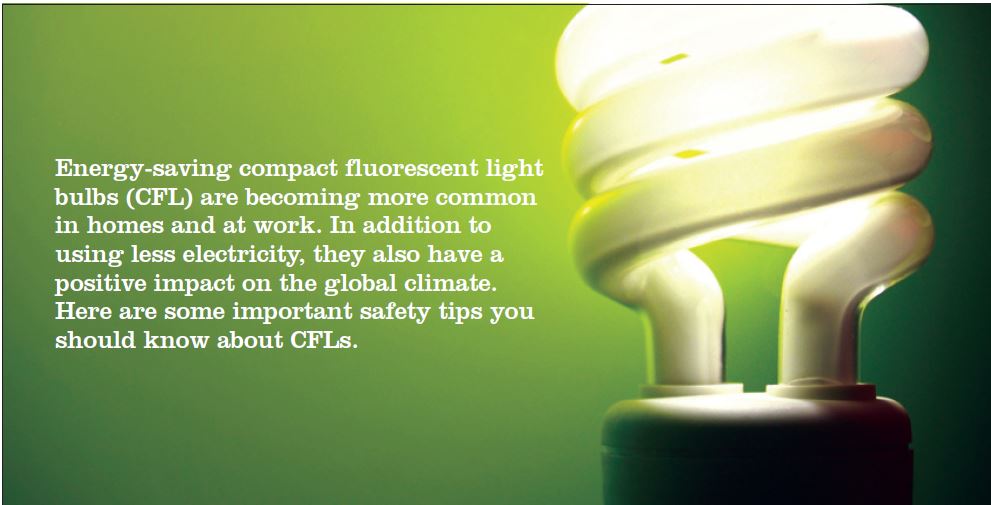 fun-facts-about-fluorescent-light-bulbs-shelly-lighting