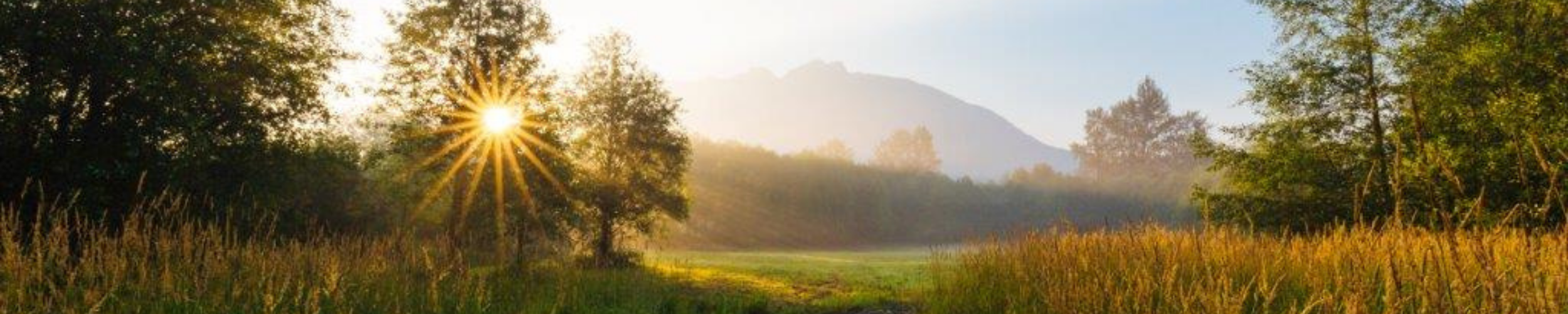 Careers • About DOI • Idaho Department of Insurance Careers • About DOI • Idaho Department of Insurance