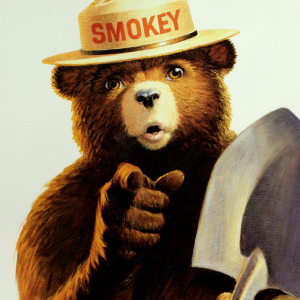 Smokey bear